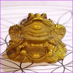 Grenouille de la prospérité 2