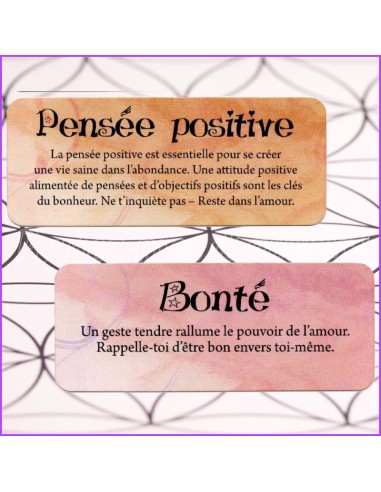 Le petit Oracle des Anges