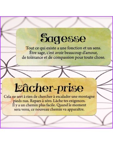 Le petit Oracle des Anges