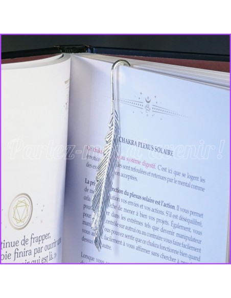 Set Marque-pages porte-bonheur de succès et de prospérité