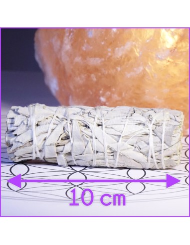 Sauge amérindienne - nouveau format