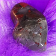 Héliotrope d'Inde 2