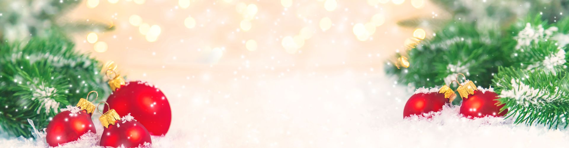 Slide 06 Slide background