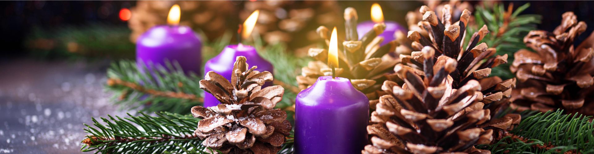 Slide 05 Slide background